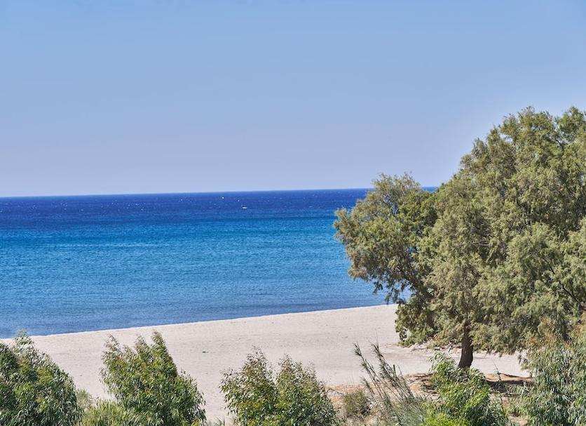 Plaża Zdjęcie