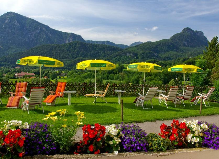 Patio Zdjęcie