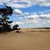 Plaża