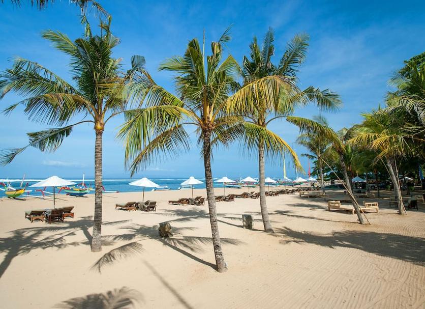 Plaża Zdjęcie