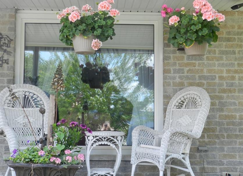 Patio Zdjęcie