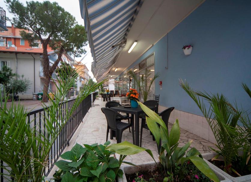 Patio Zdjęcie