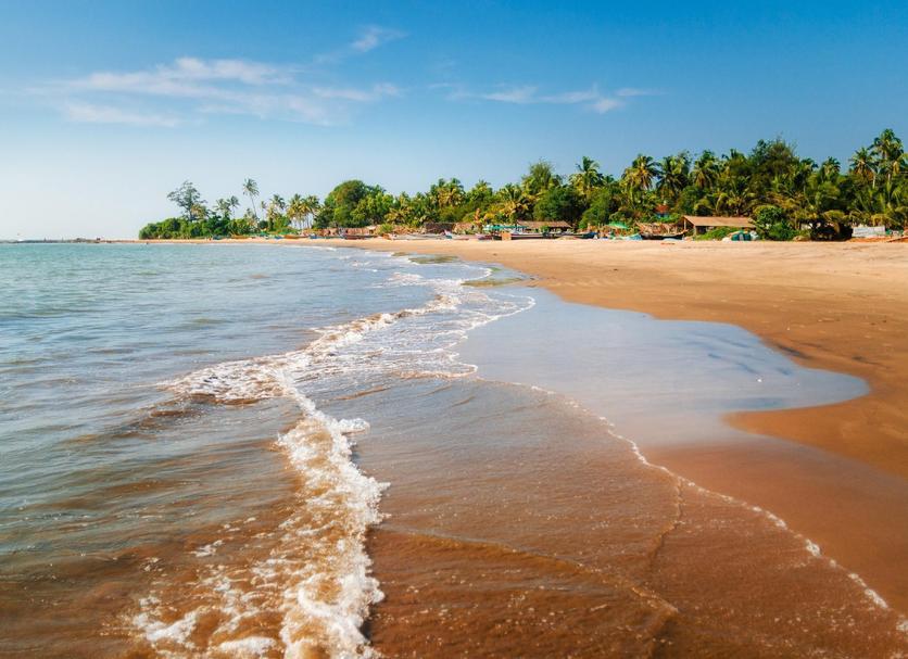 Plaża Zdjęcie