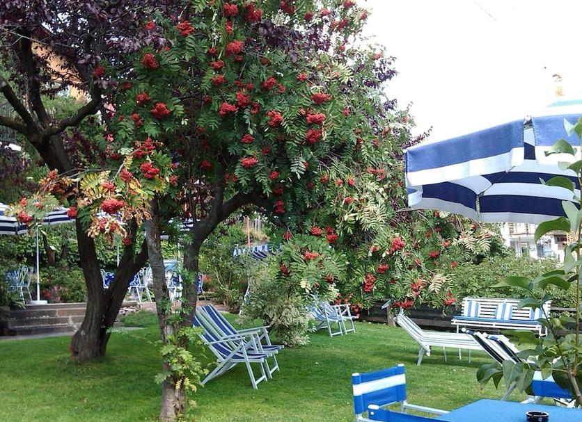 Patio Zdjęcie