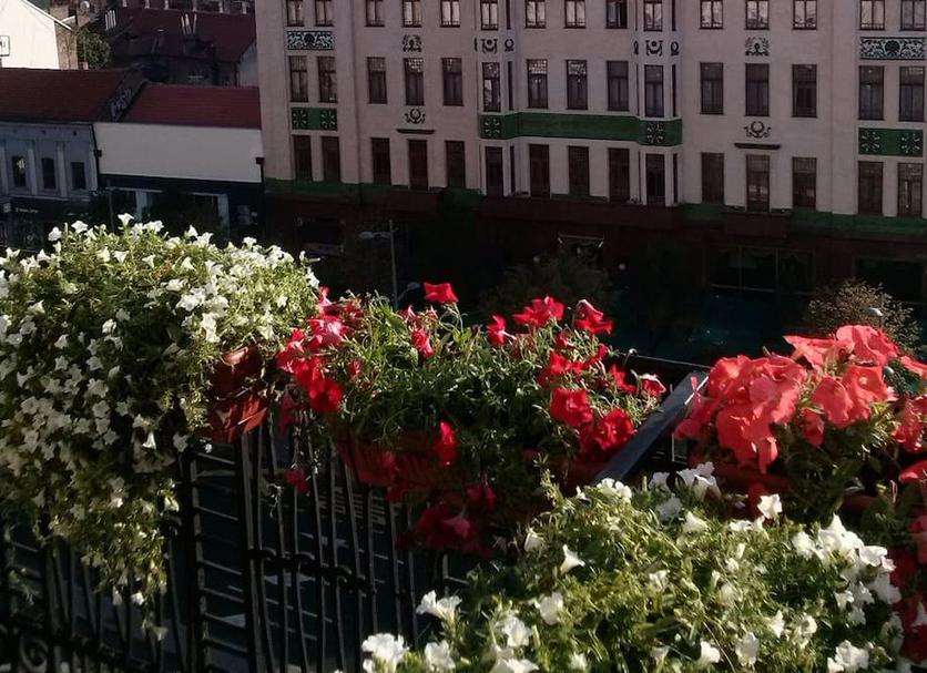 Widok na zewnątrz Zdjęcie
