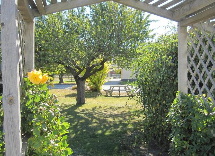 Patio Zdjęcie