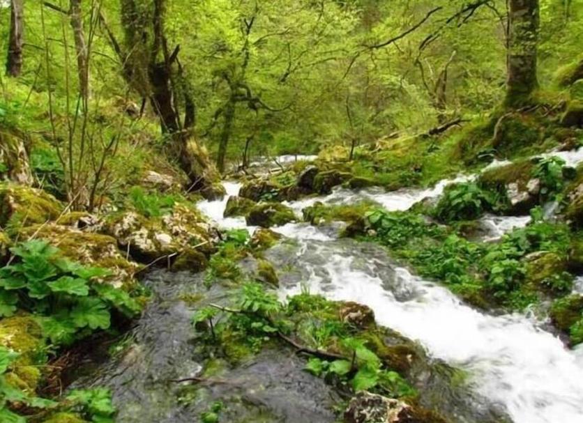 Widok na zewnątrz Zdjęcie