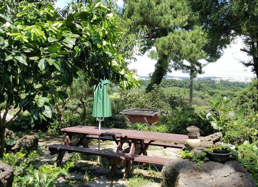 Patio Zdjęcie