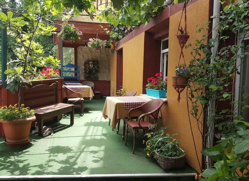 Patio Zdjęcie