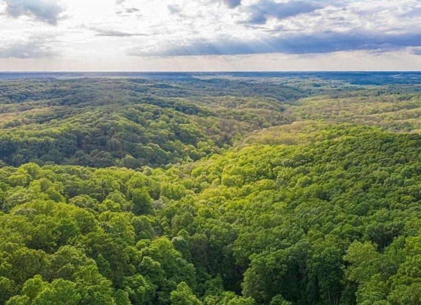 Widok na zewnątrz Zdjęcie