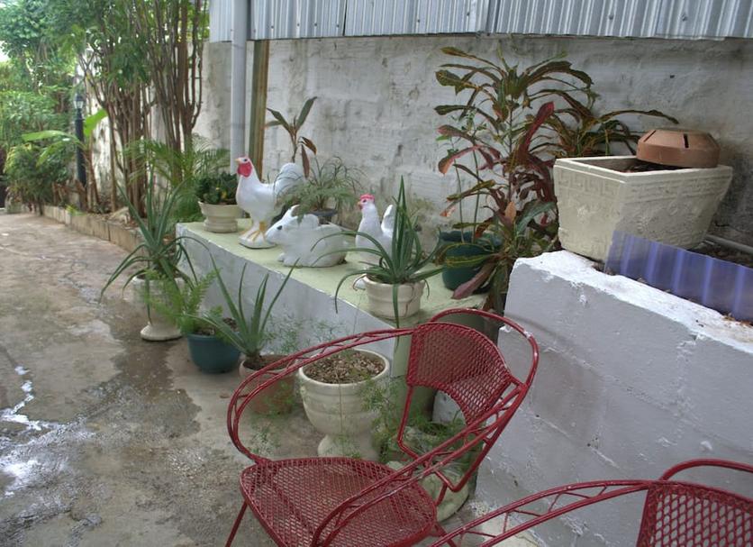 Patio Zdjęcie