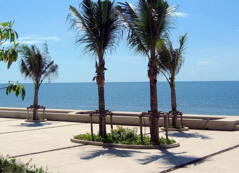 Plaża Zdjęcie