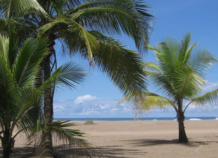 Plaża Zdjęcie