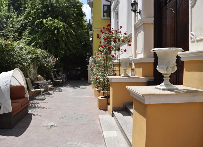 Patio Zdjęcie