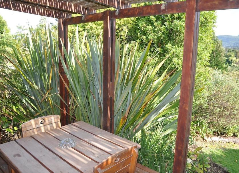 Patio Zdjęcie