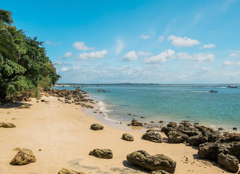 Plaża Zdjęcie