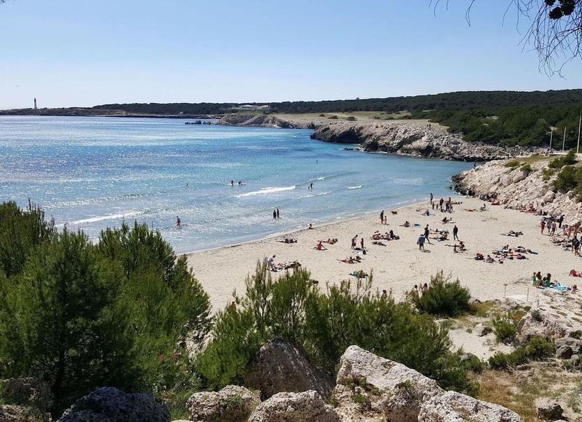 Plaża Zdjęcie