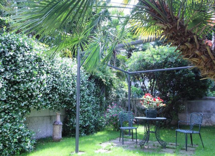 Patio Zdjęcie