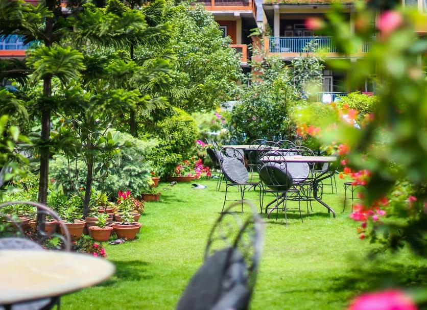 Patio Zdjęcie