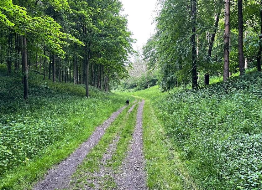 Widok na zewnątrz Zdjęcie