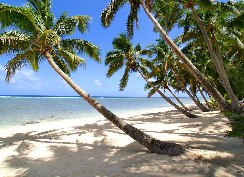 Plaża Zdjęcie