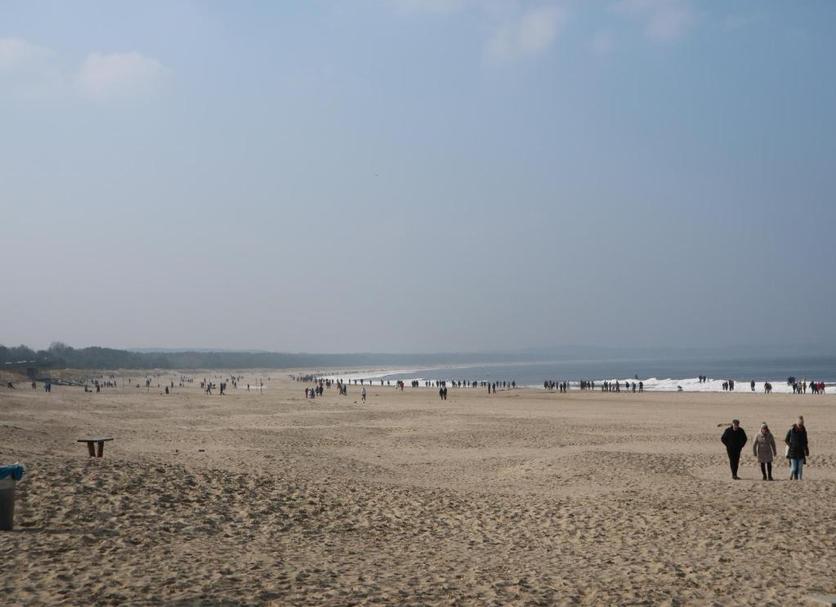 Plaża Zdjęcie
