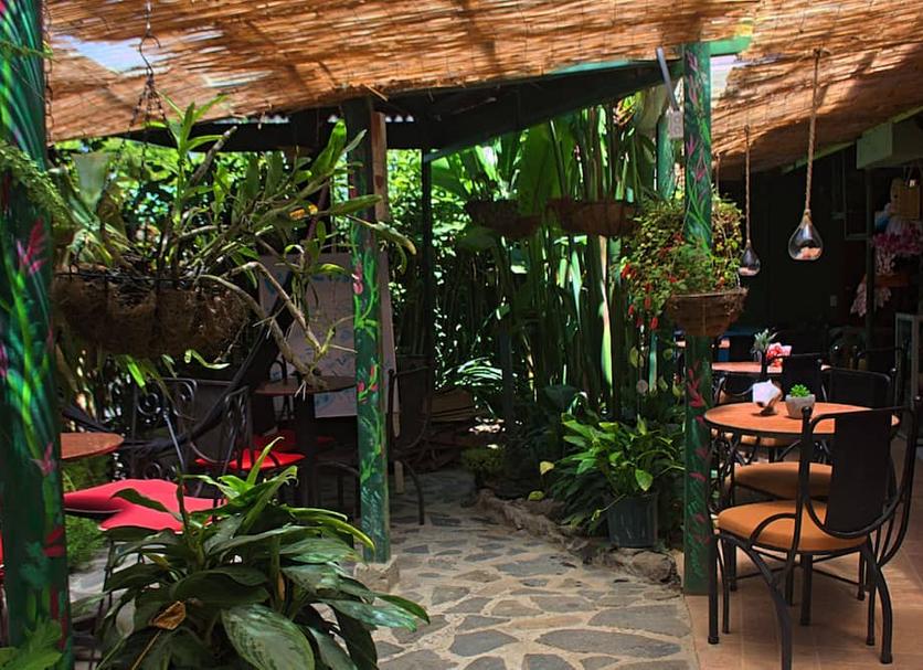 Patio Zdjęcie