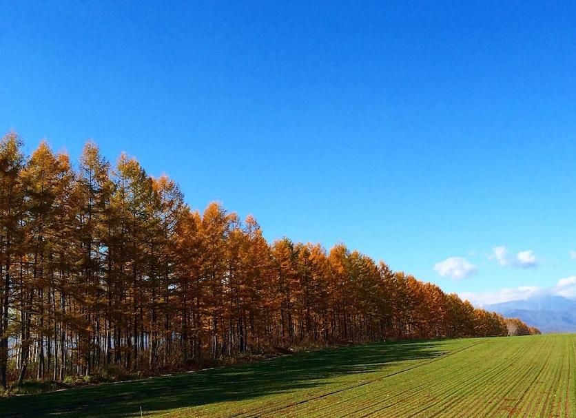Widok na zewnątrz Zdjęcie