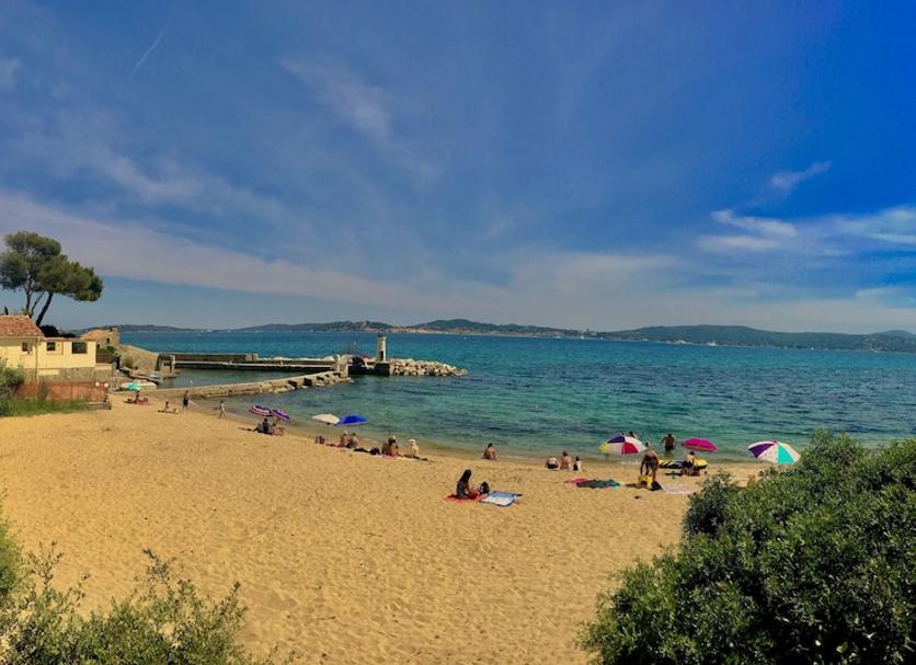 Plaża Zdjęcie