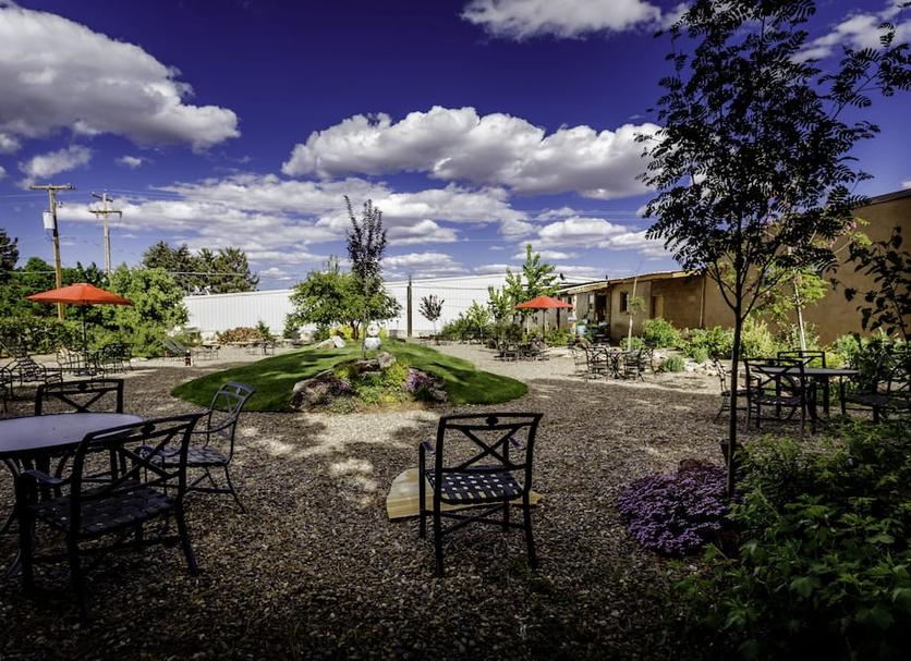 Patio Zdjęcie