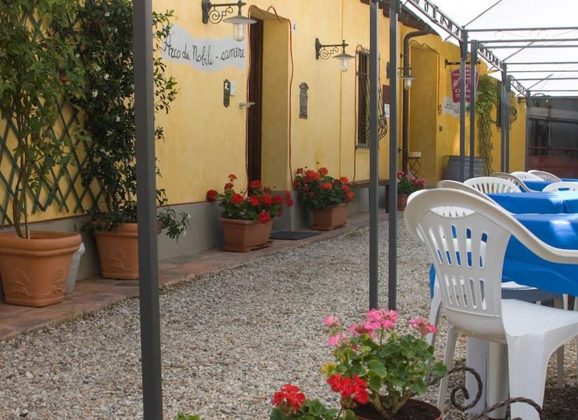 Patio Zdjęcie