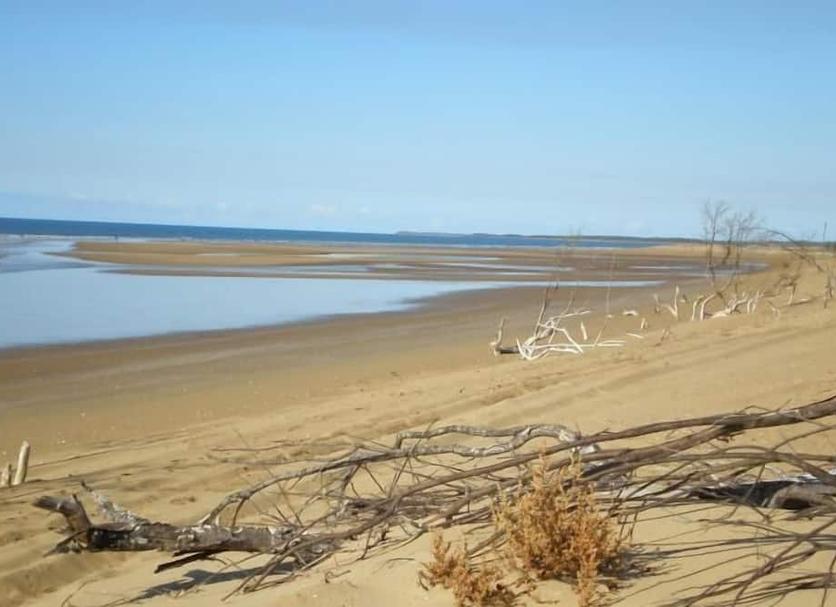 Plaża Zdjęcie