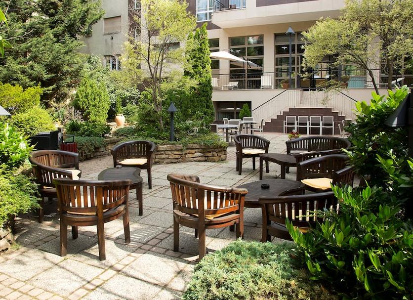 Patio Zdjęcie