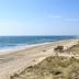 Plaża