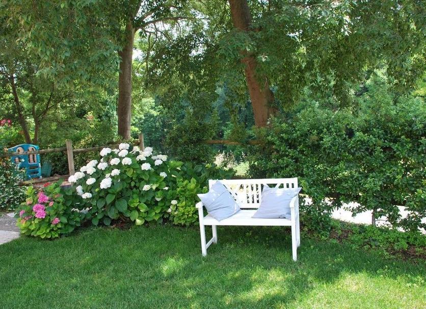Patio Zdjęcie