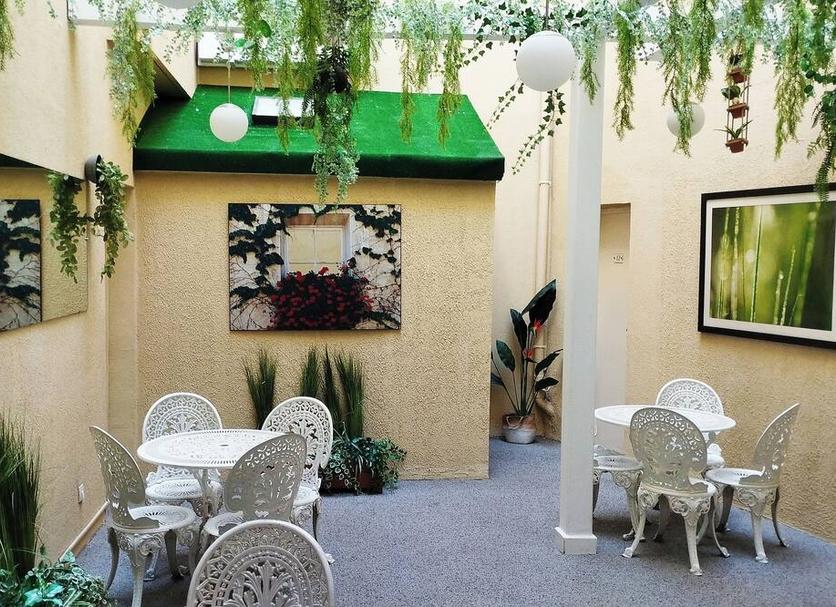 Patio Zdjęcie