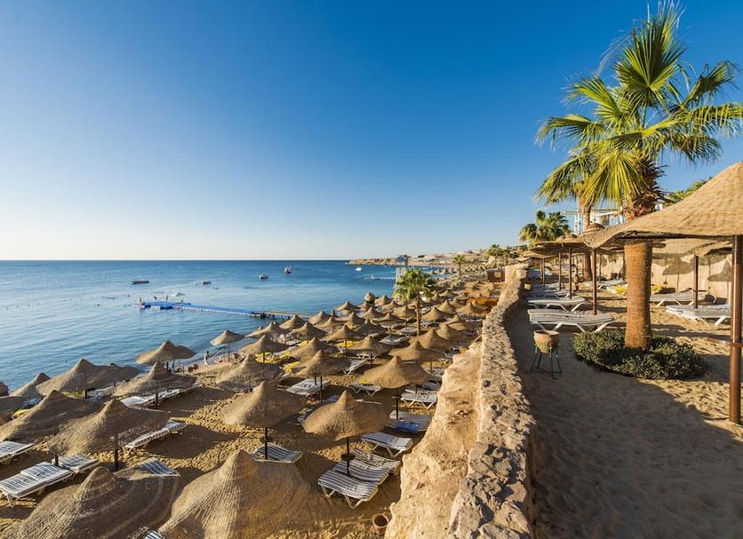 Plaża Zdjęcie
