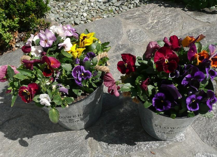 Widok na zewnątrz Zdjęcie
