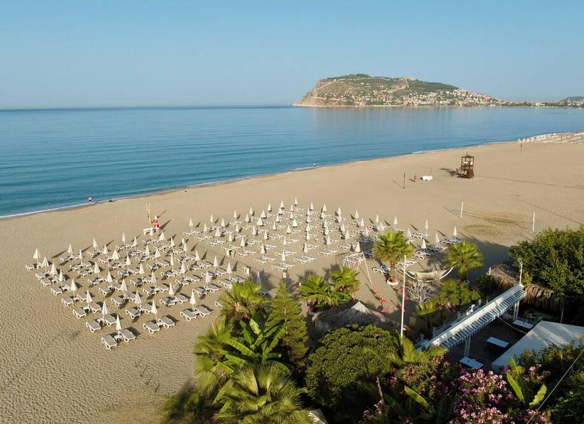 Plaża Zdjęcie