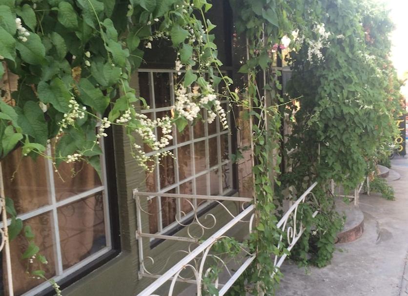 Widok na zewnątrz Zdjęcie