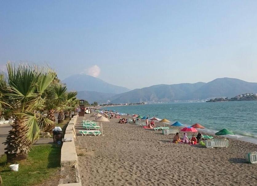 Plaża Zdjęcie