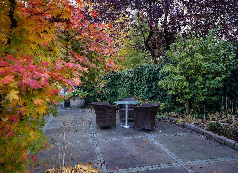 Patio Zdjęcie