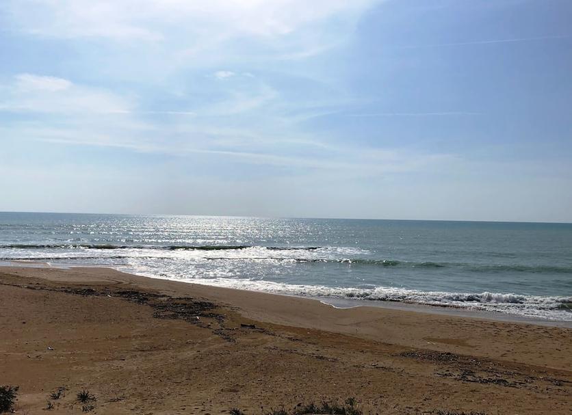 Plaża Zdjęcie