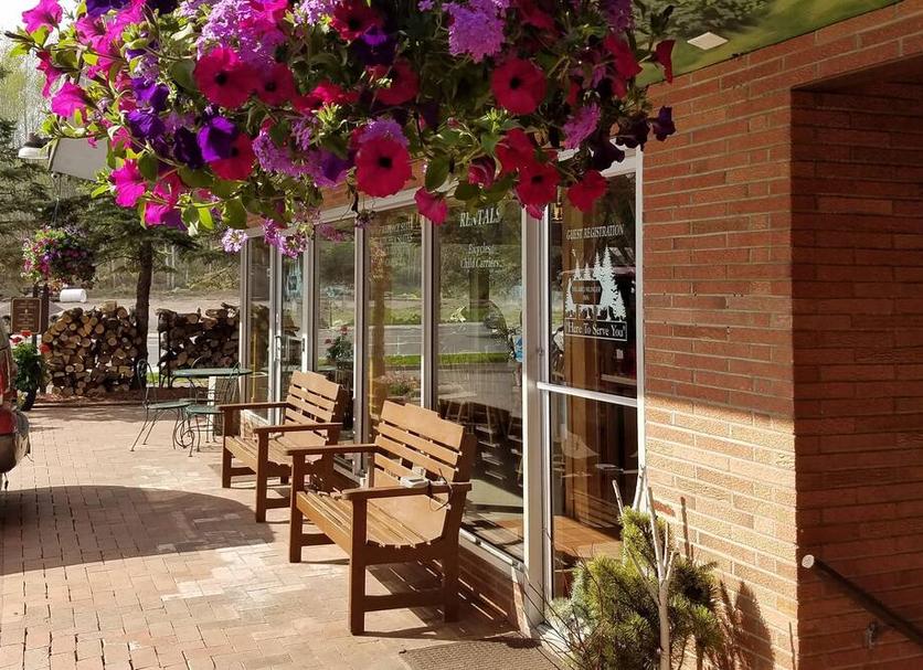 Patio Zdjęcie