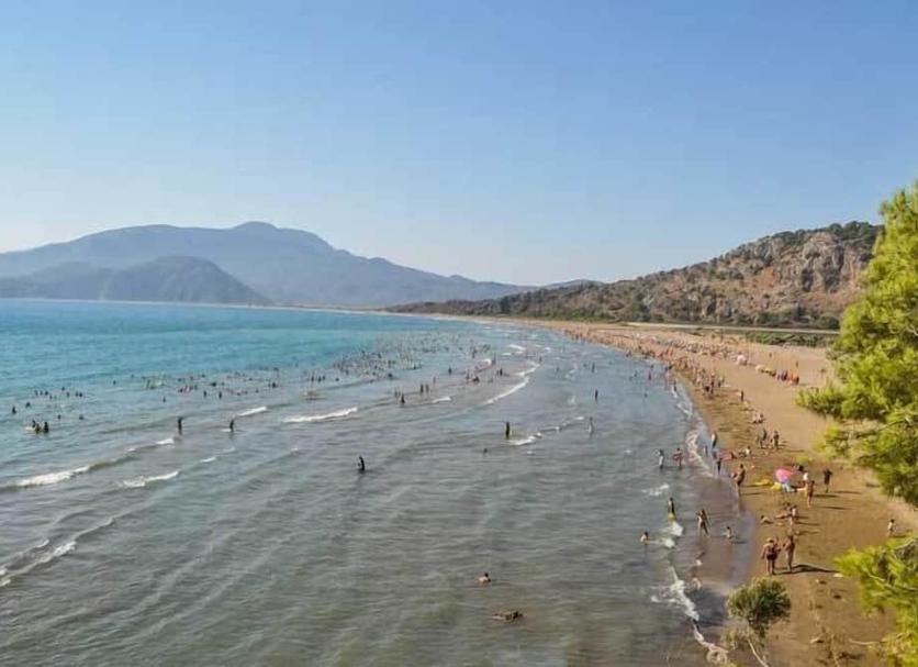 Plaża Zdjęcie