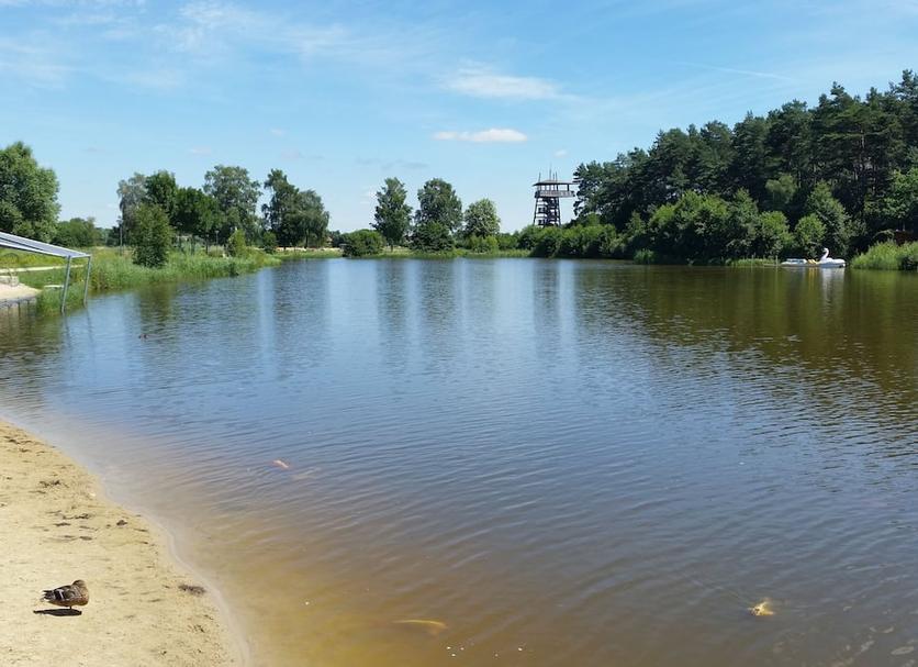 inna Zdjęcie