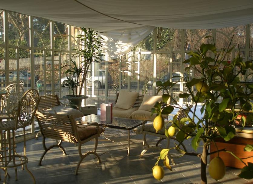 Patio Zdjęcie