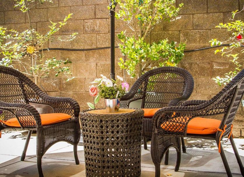 Patio Zdjęcie