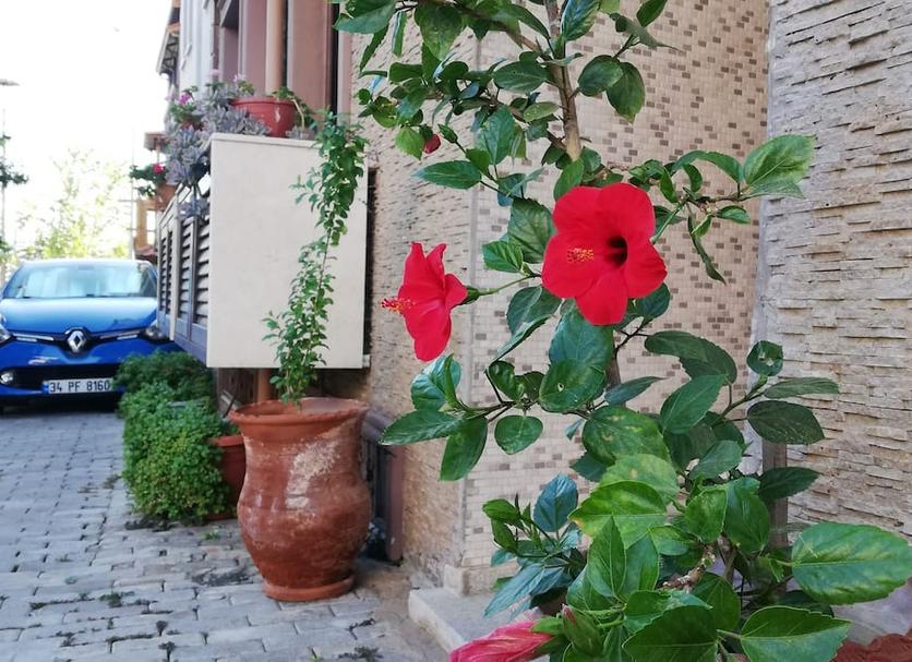 Widok na zewnątrz Zdjęcie