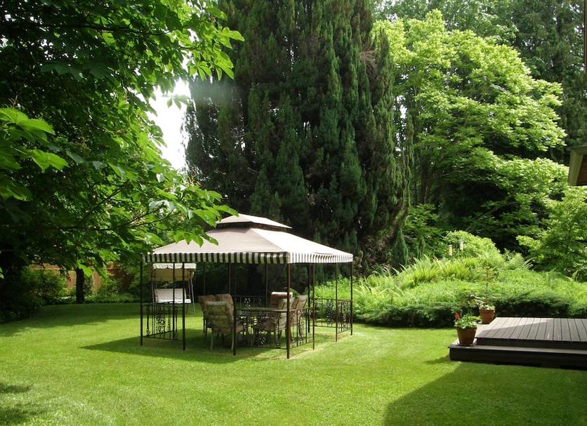 Patio Zdjęcie